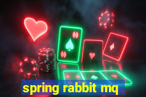 spring rabbit mq